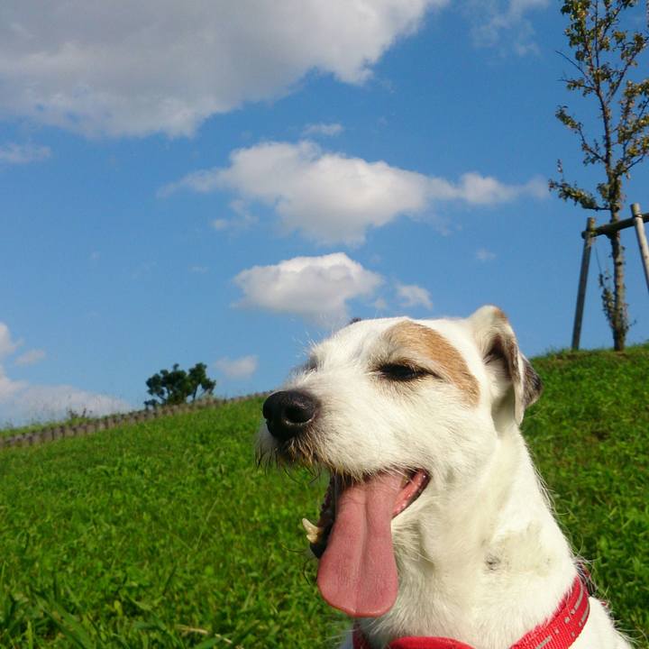 E3ca74c1 3dd7 4ea3 ad0a f29c31caecc1