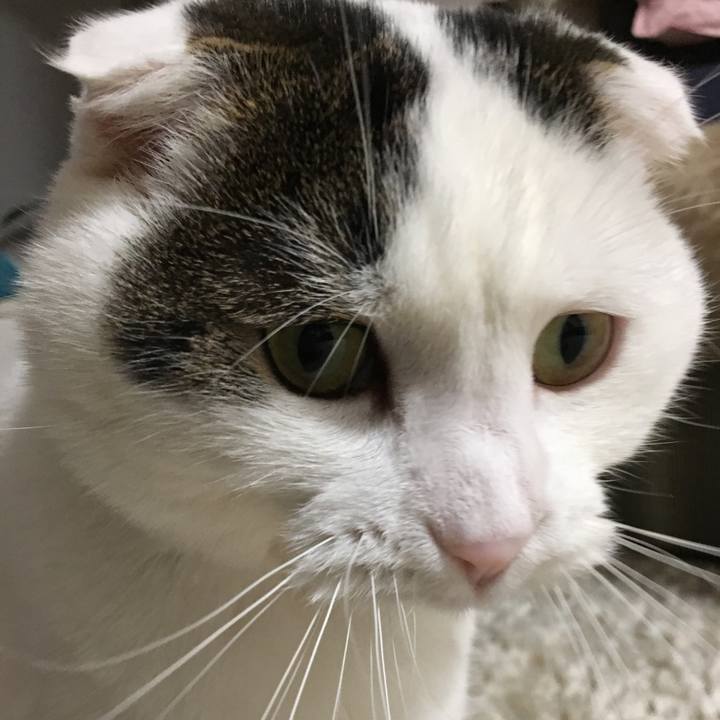 E3caf8a3 7dc7 4edc b4c8 8822b50e5379