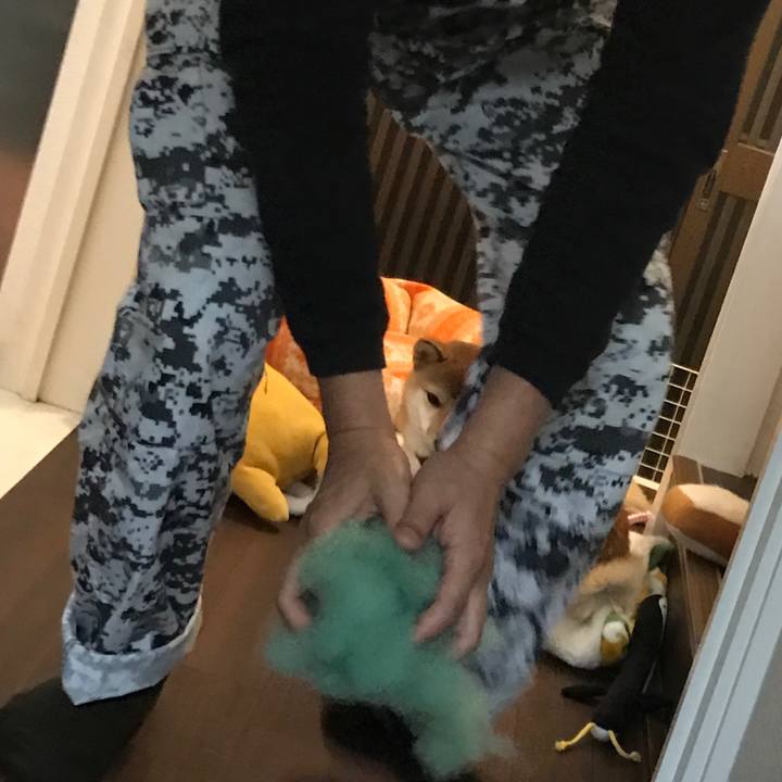 E3cafc56 40b2 4007 b250 4529fdee86cb