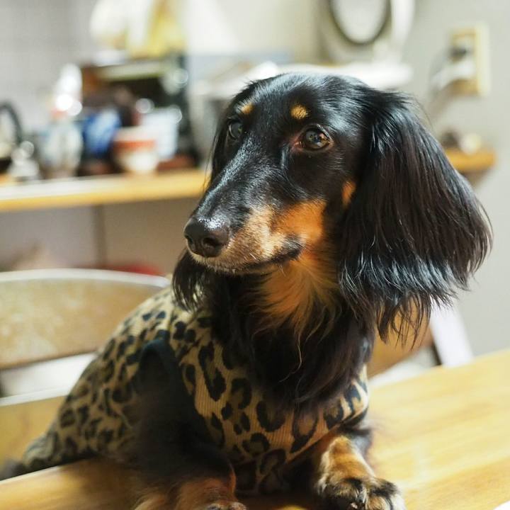 E3cb015d 3bd2 4f34 b9e4 b9232a4144ba