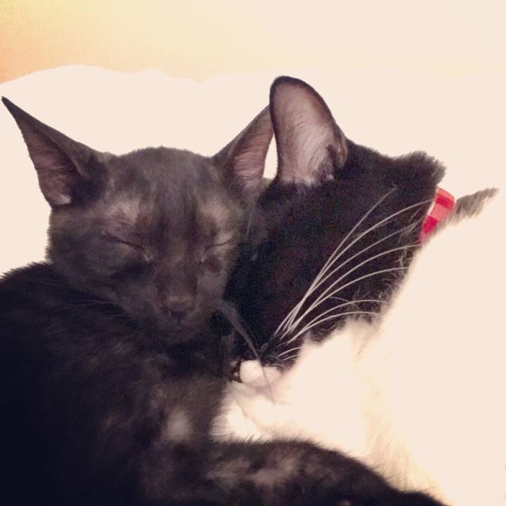 E3cb5635 8814 4a18 ba65 50deae3f5b66