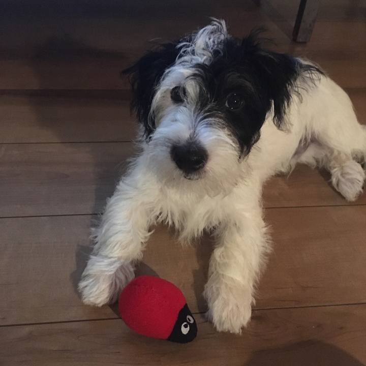 E3cb9a85 ac82 4393 9f76 1de7daa3dc7f