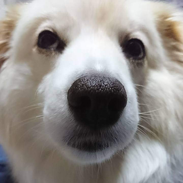 E3cbf1a1 c7eb 41c5 b6b3 794a658f9084