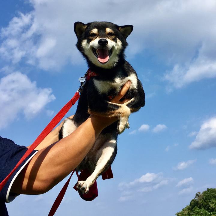 E3ccb82f 1e30 4f58 8fd4 6885a176891f