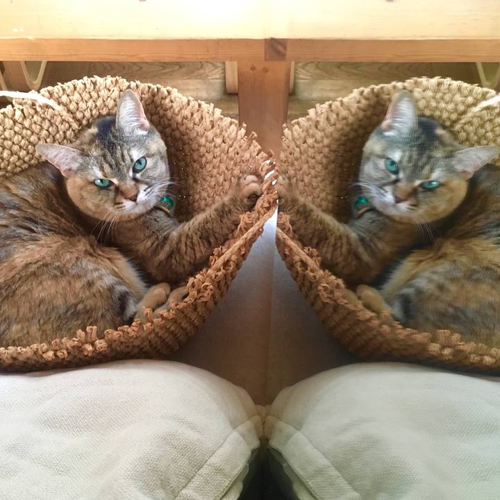 E3ccba09 caaf 435b 9da2 cd023e926350