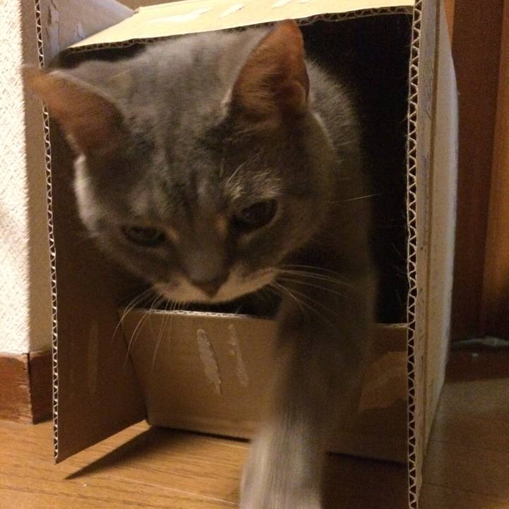 E3ccf741 5ffe 4b0a 8b79 0b447f8147ee