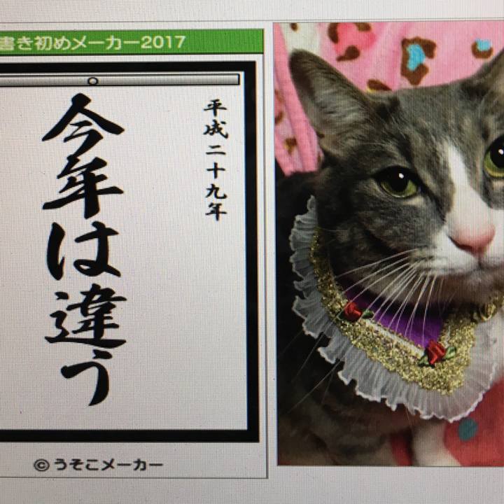 E3cd7e54 b7e2 4e3a b2be 72cd5d77d3b1