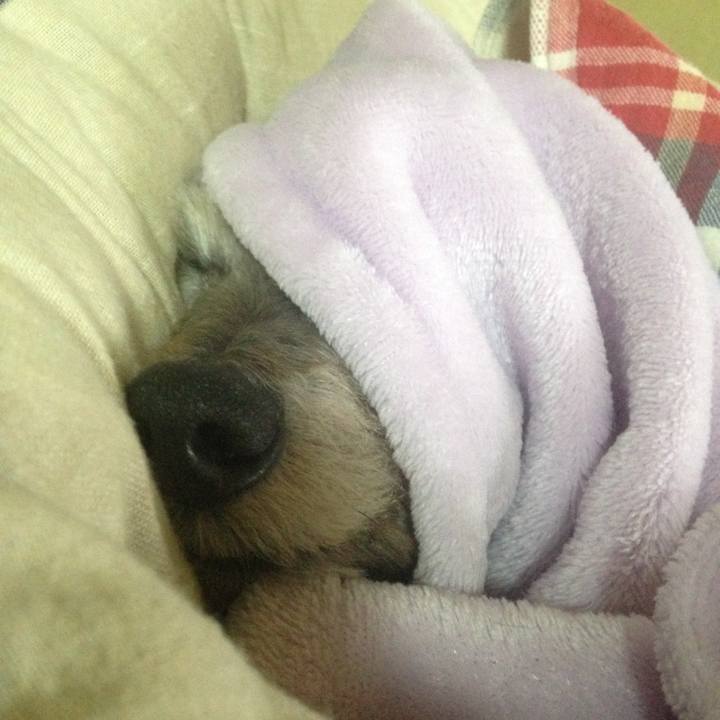 E3ce1313 a1c4 4224 8dee 12cc5eee713d