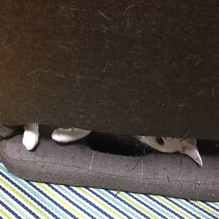 E3cef1f2 8862 42ae ba24 fab1cf158a62