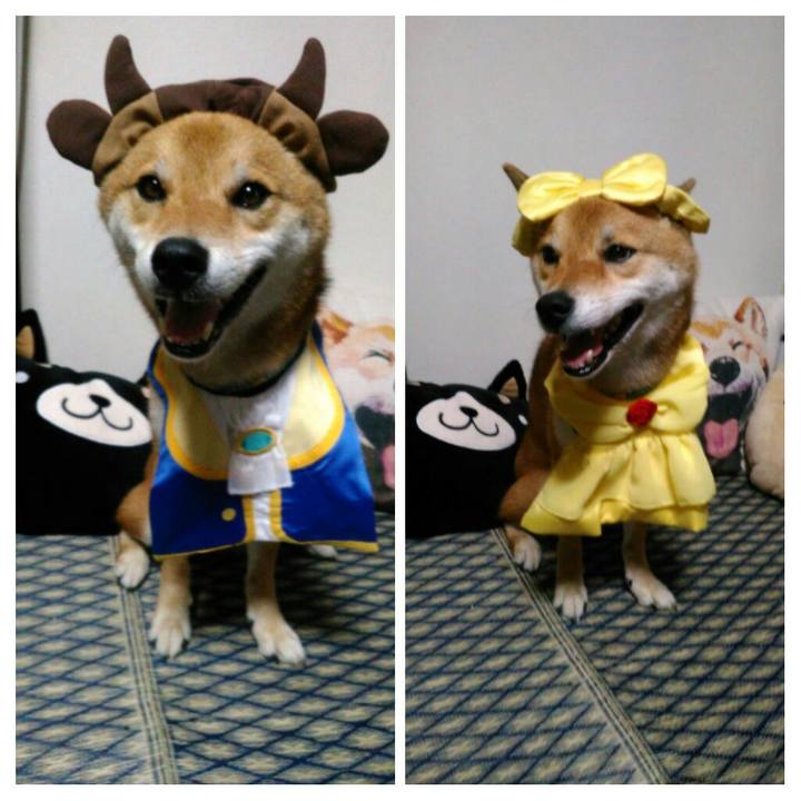 E3cf03b5 a40f 439f 9bf4 08a81fdb64ee