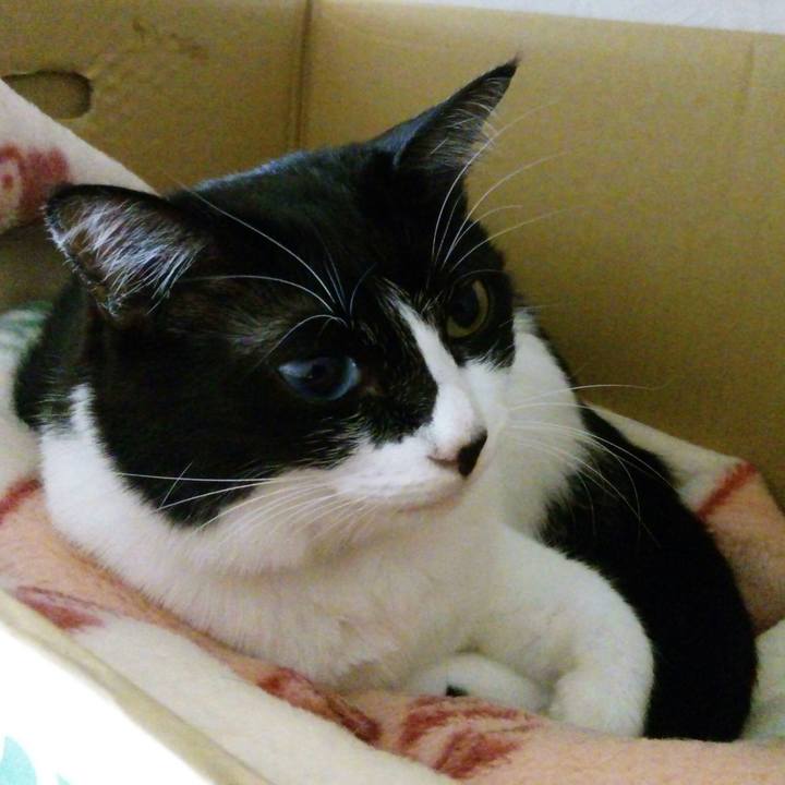 E3cf31ef de05 4bd9 b171 244a56ee277b