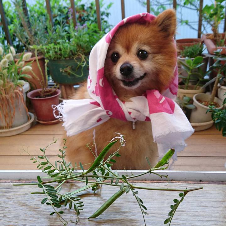 E3cf57d3 b5e9 43b2 905e 097248aebf0e