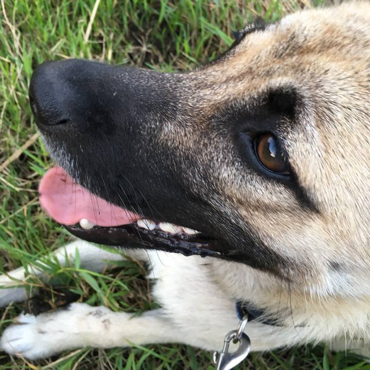 E3cfa1bb 065e 4a29 88d2 a9ca550493b9