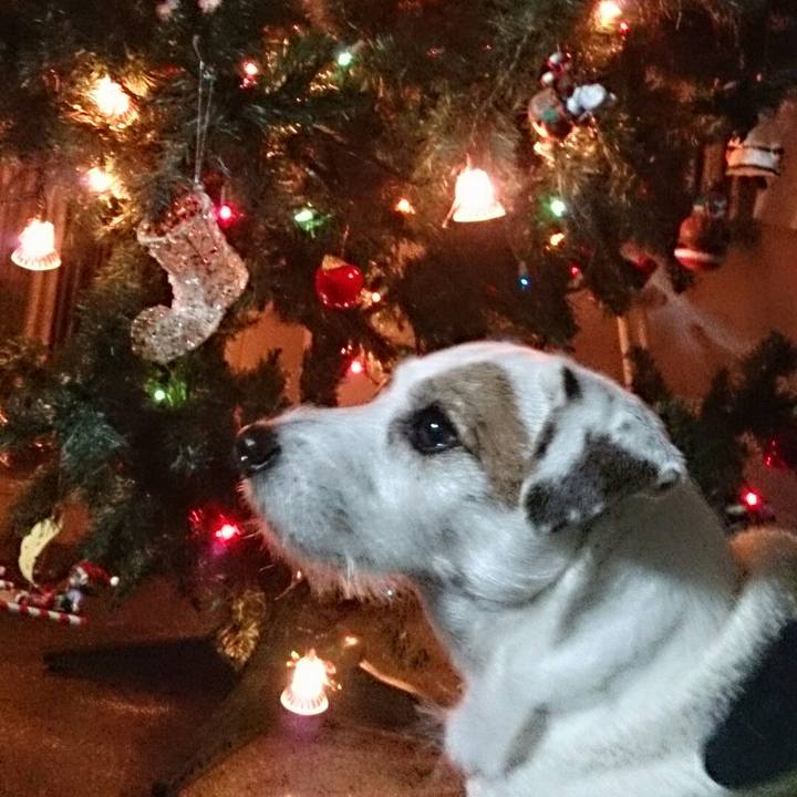 E3cfb512 c24b 47fa ab01 84a6d2b97912