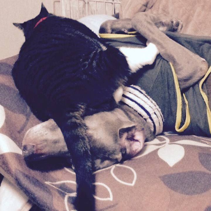 E3d0dc1e a28c 43d4 a65e a4a65e46f00d