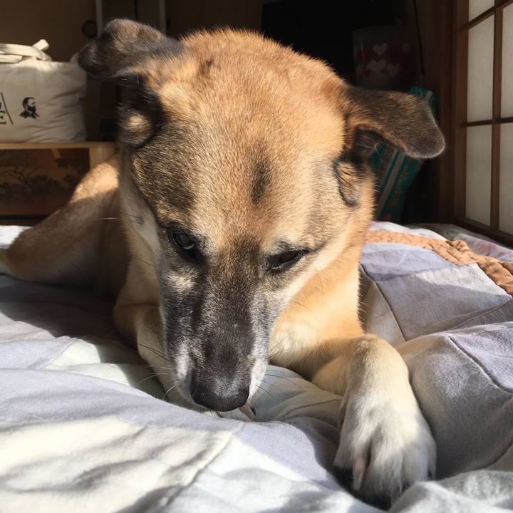 E3d12a47 baa0 446c 877f 49a1cdebef92