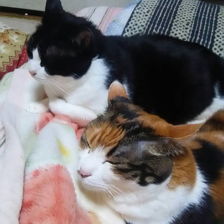 E3d2f53b a5aa 475c 9c9e 94facdbb120d