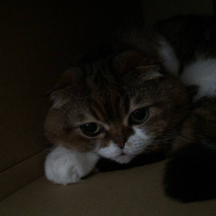 E3d33d23 106c 4520 a182 c8df7bf03cfb