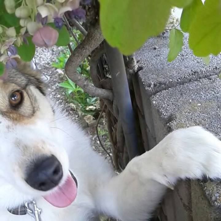 E3d43e92 5564 4890 a112 5cad9ffa6582