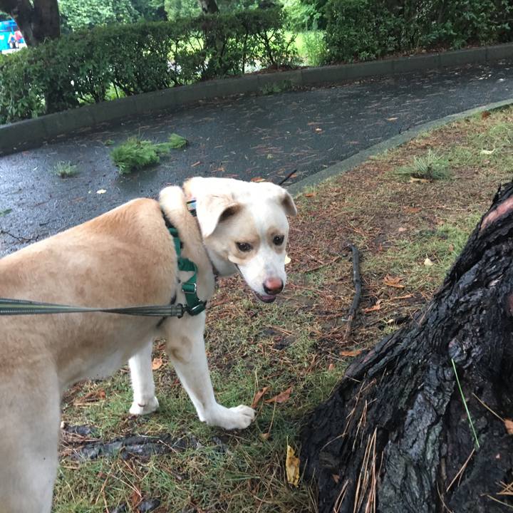 E3d457e2 6002 4660 9aeb 12eccb58f433