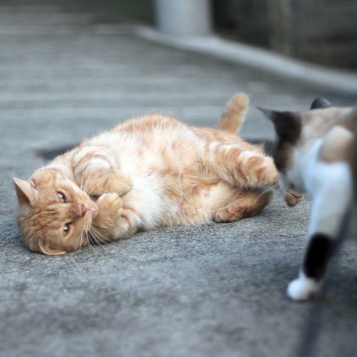 E3d473fc 2b1a 4e37 8e0f a44edd68e7fd