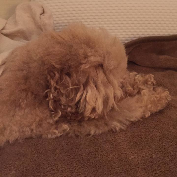 E3d477b7 55ed 4948 a2dd 65f10fa68c12