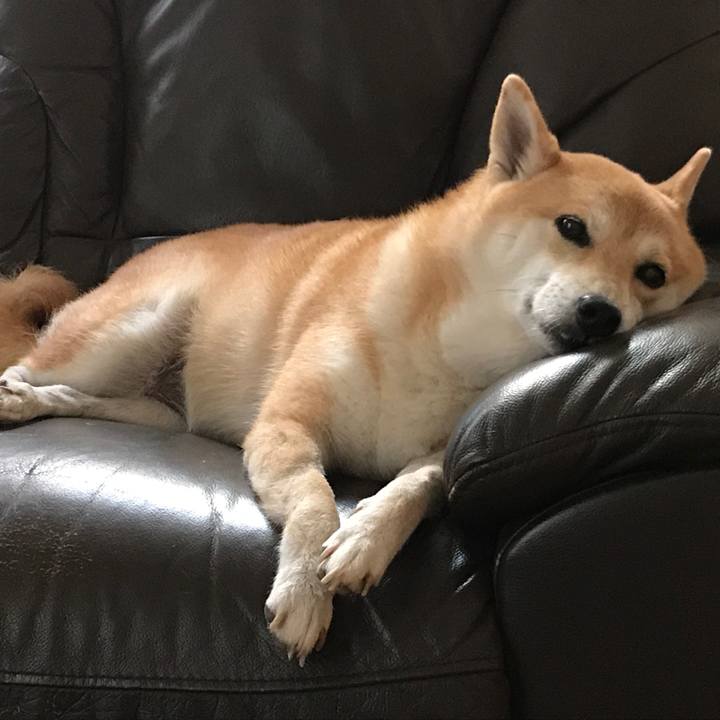 E3d4fe73 5b84 4069 a19c 59f3f55f928a