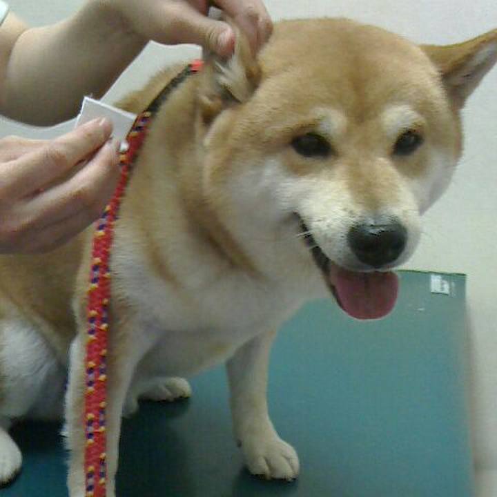 E3d630f9 6582 4e05 8e5f 58a5ffd16f1c