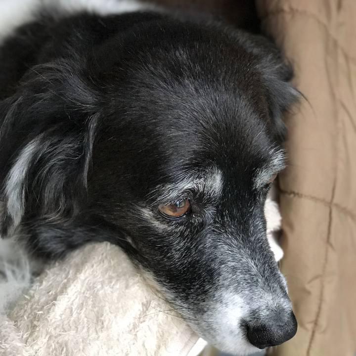 E3d67362 549e 4b30 8253 88ca3f568cc9