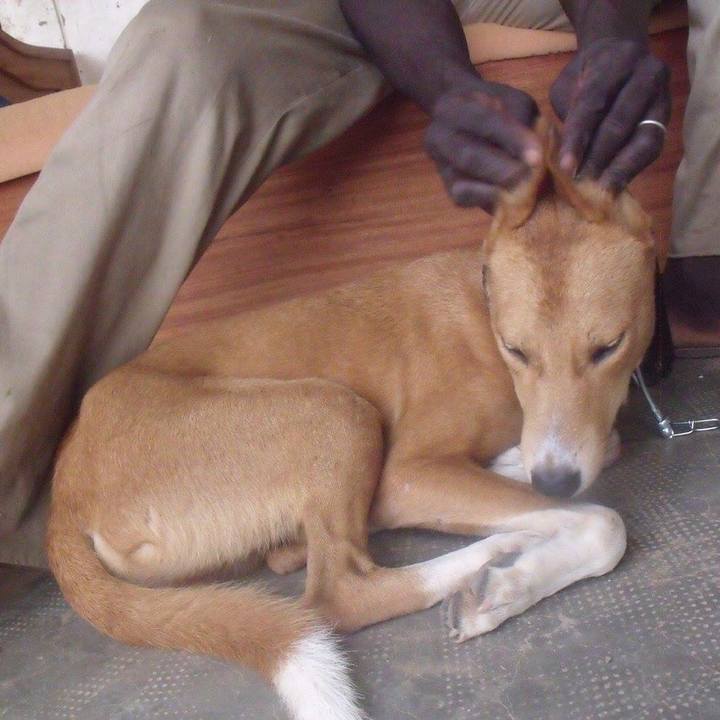 E3d6779d 803e 4d95 b652 982223281632