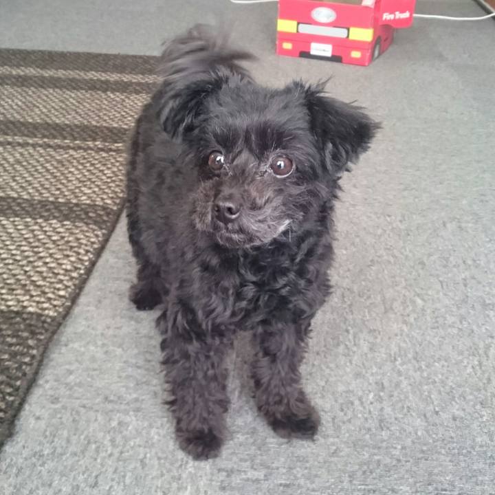 E3d706e9 b7e9 4721 9f63 bd8025c49be2