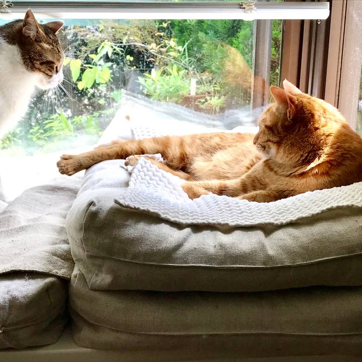 E3d73524 d243 479b b16c 94cf60b33ebe