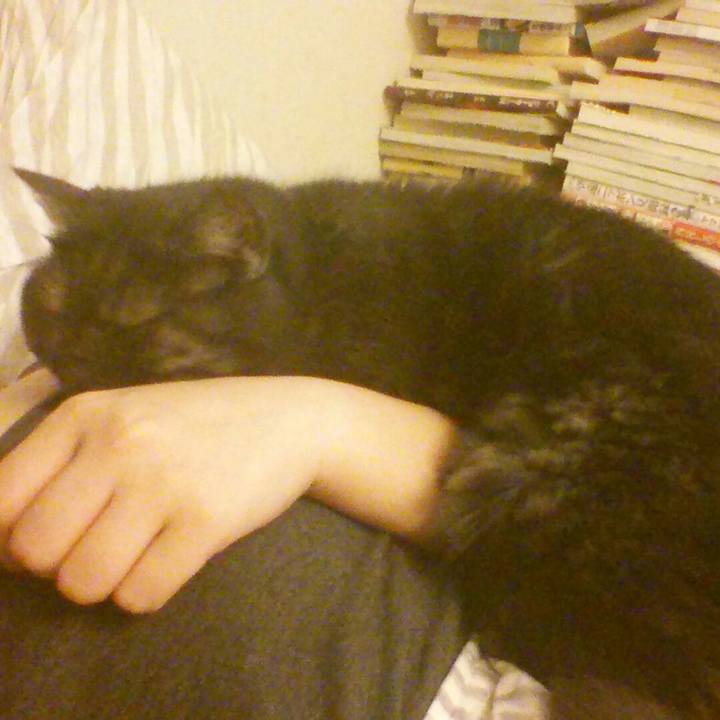 E3d76783 6f7a 45fc 829e a75f5c84bb39