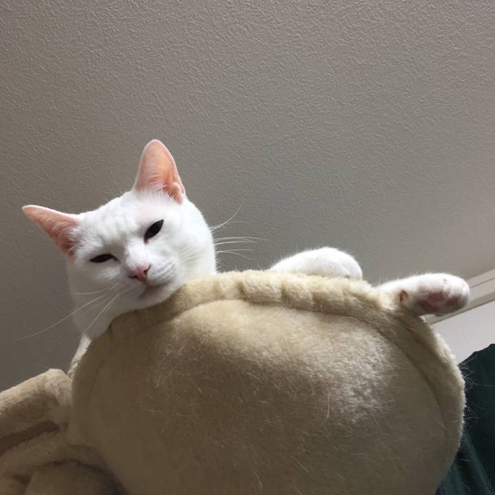 E3d76daa 5ecd 45dc b318 7c52ce3de611