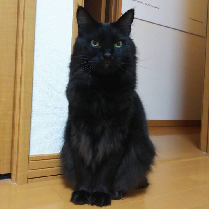 E3d8a9de dacb 40f1 92ec bc3b316d1c5e