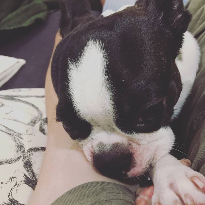 E3d9afac 38af 4110 aa71 c5a8f0a3e7ed