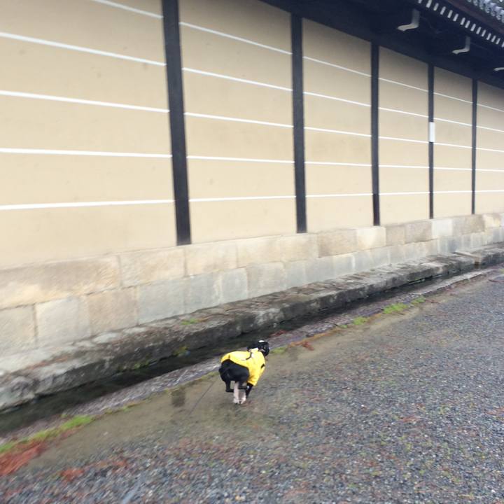 E3da561b 79b8 424d 9fdb 20c1273cf6dd