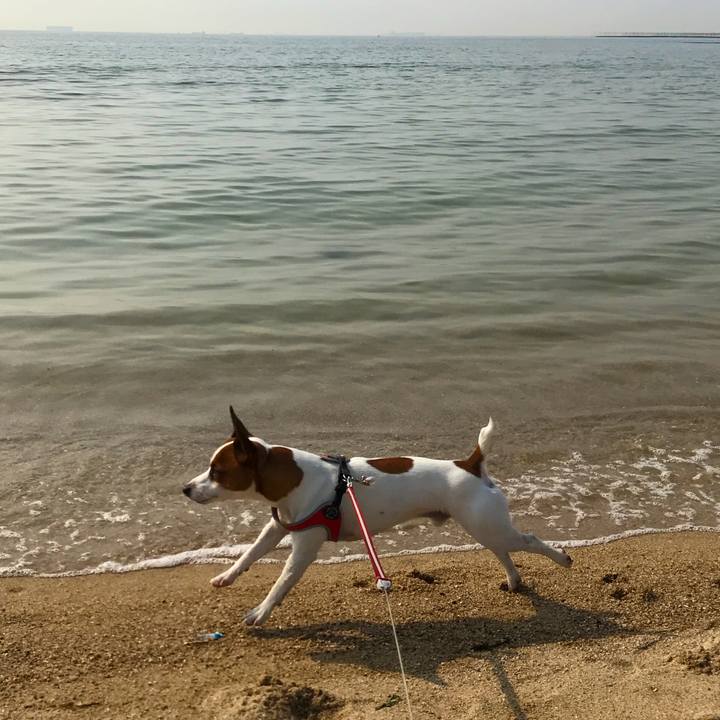 E3da590b 95eb 4c5d 9a55 68275fbb7467