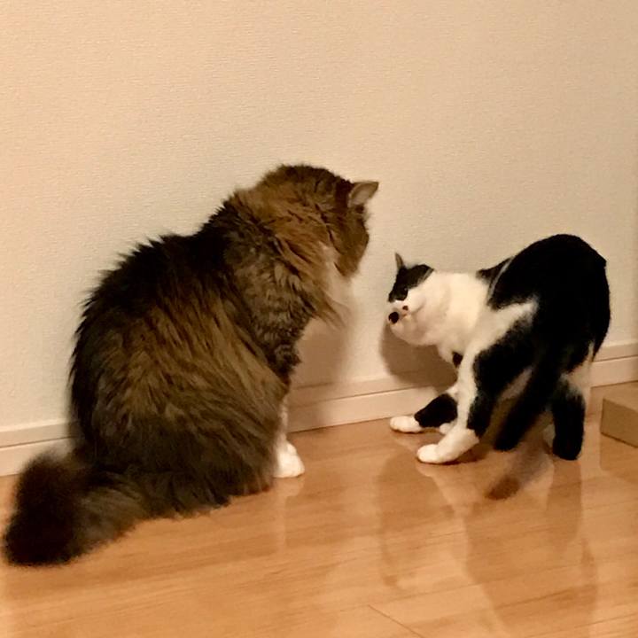 E3da5be3 0844 4195 8548 f51e1c44682d