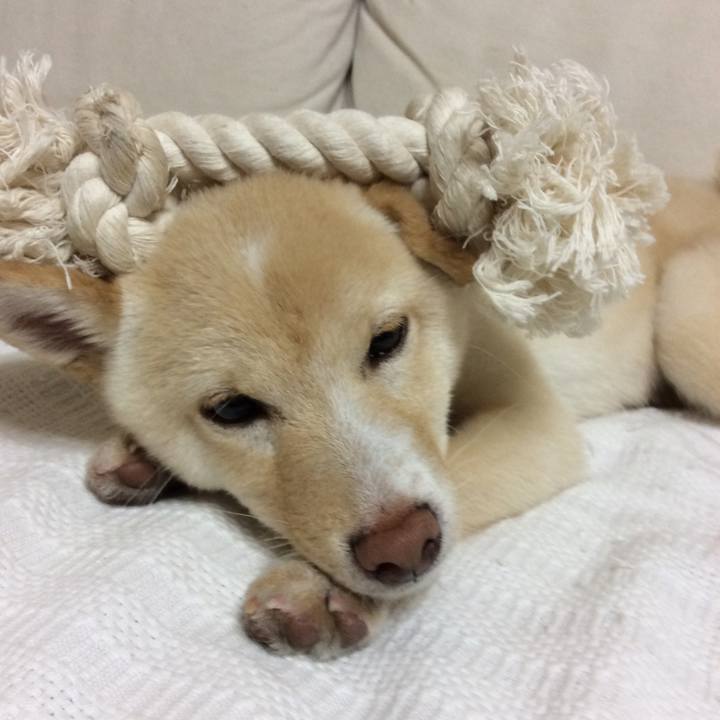 E3daa533 c0eb 4172 abf3 d2c943377fa9