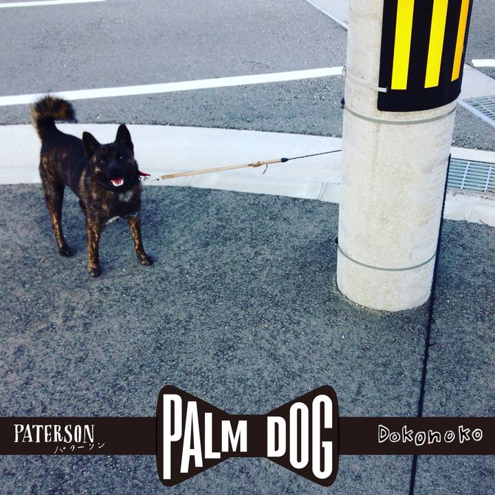 E3daabdd 804b 4b85 9c43 109fd1b2cb5e