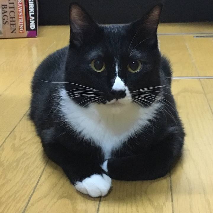 E3daef1f 7098 4db4 a348 e700d918b3bc