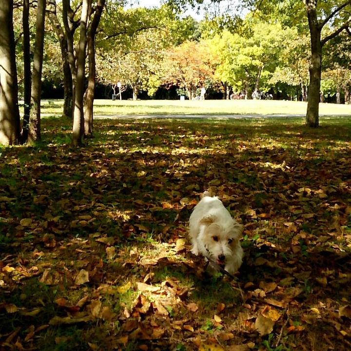 E3daf7df e3ec 44c0 8c7a c5eb804eb364