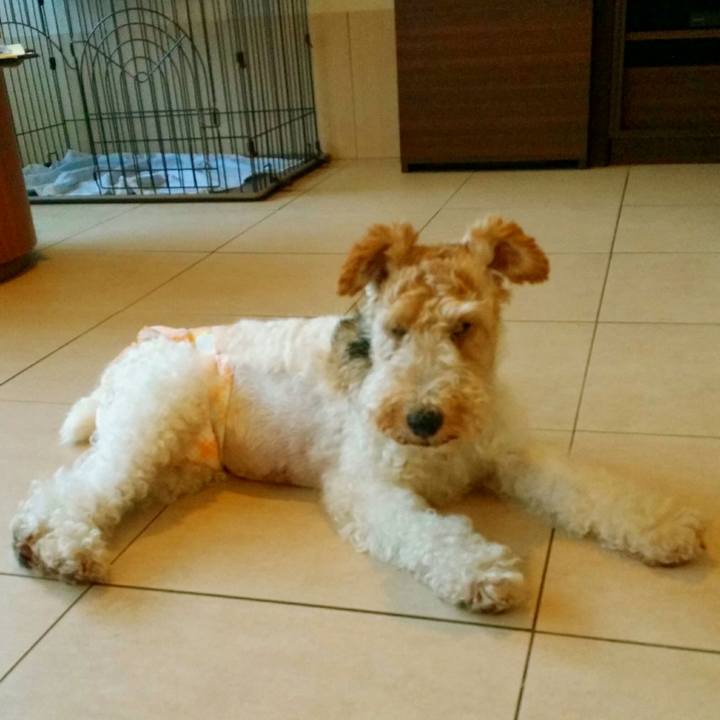 E3db4171 923a 41b2 bfe7 4896d56696ab