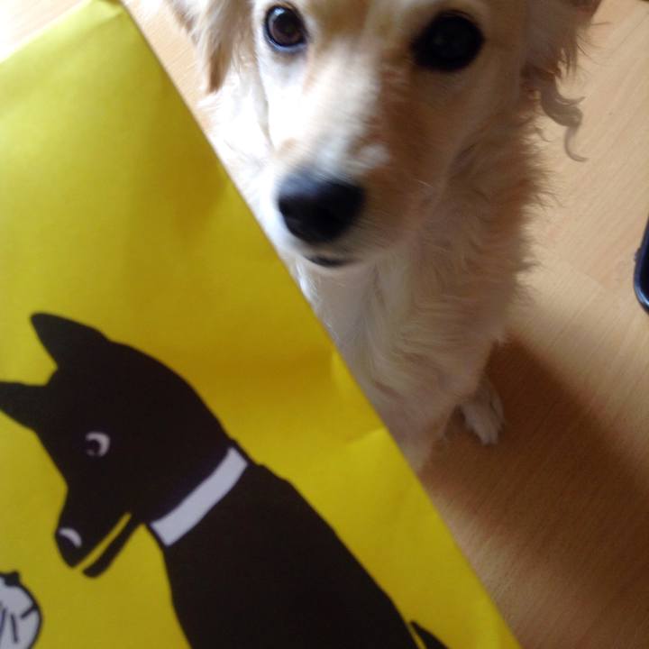 E3dc3c43 27a3 4a15 b563 104379b12de3