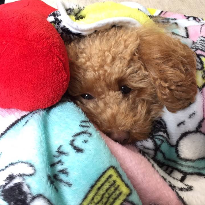 E3dc5ed0 ca4b 42a4 ac66 5fde46ce1631