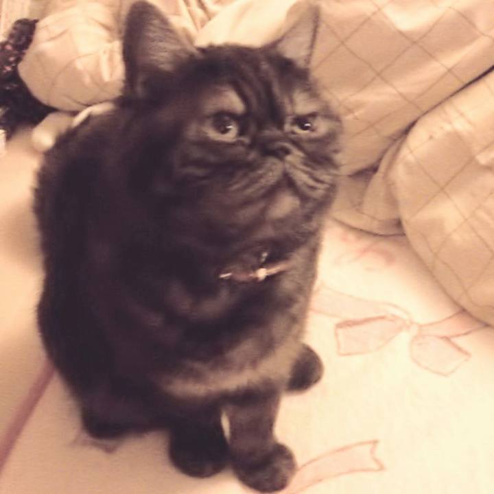 E3dcb229 8263 4660 811d 82e869d8f4bd