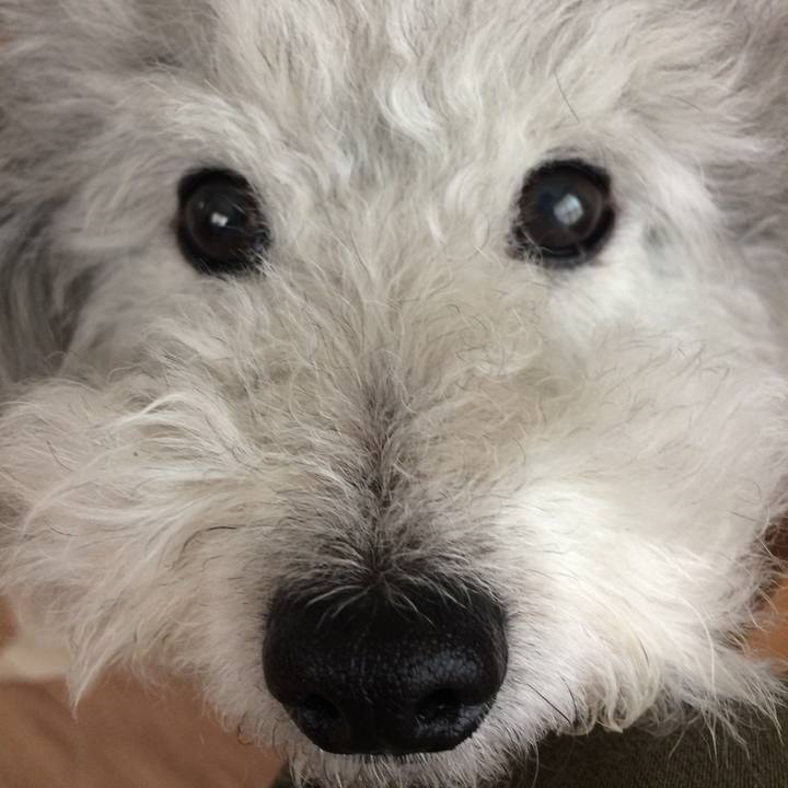 E3dcdebd 7e17 4cd4 ad9a 29063c0c0d75