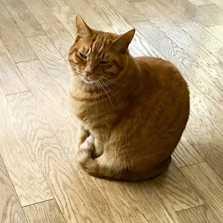 E3dd0798 6aba 4285 a566 4716f13a1d76