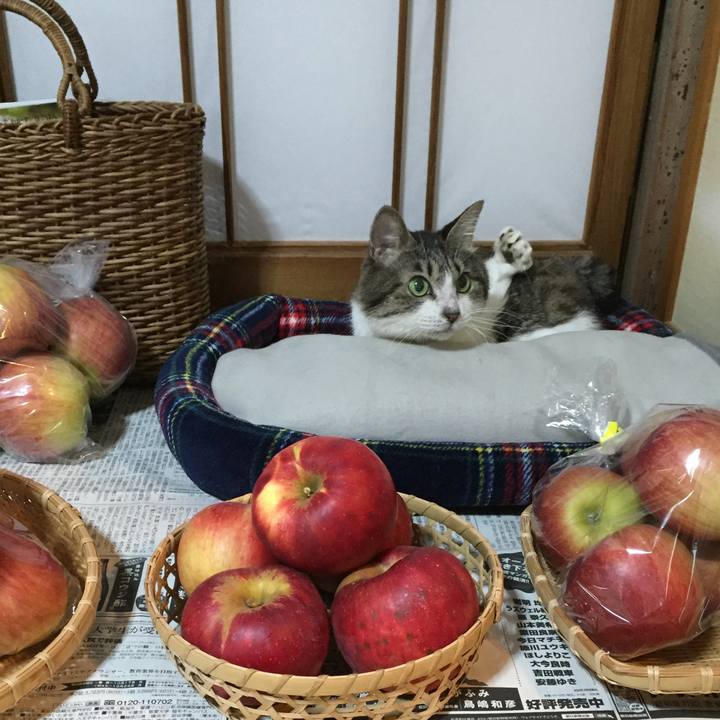 E3dd3821 e128 4e20 95fe dc0eaf0211cd